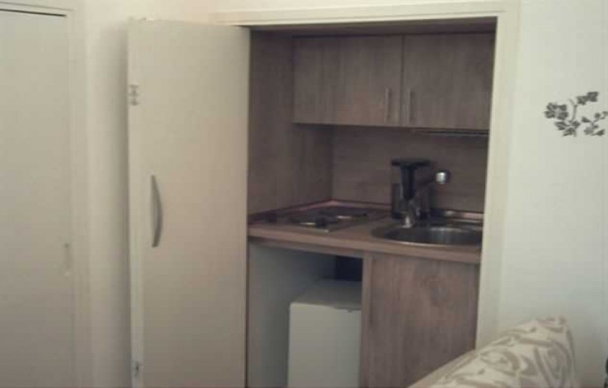 گل شهمیرزاد