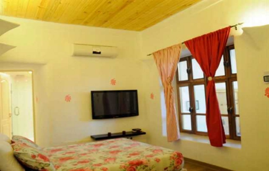 گل شهمیرزاد