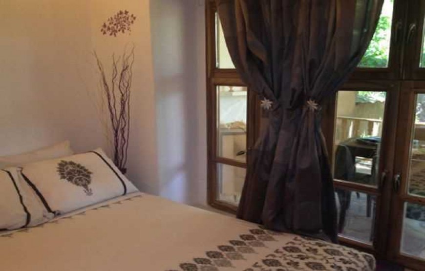 گل شهمیرزاد